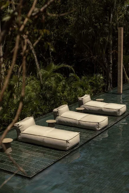 Mekânın Ruhunu Uyandırmak: Biyofilik Tasarımla İçsel Huzura Yolculuk